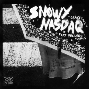 snowycover2
